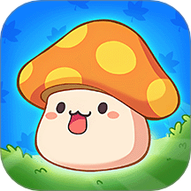 冒險島楓之新篇