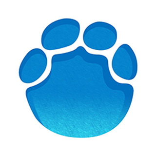 大象新聞電視版