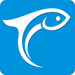 鳳臺小魚網(wǎng)