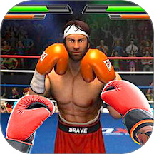 超強格斗對決免廣告