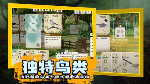 鳥類觀察家 v1.1.101 手機(jī)版 3