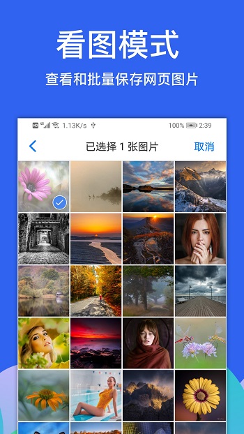 alook瀏覽器最新版app v9.5 官方手機版 3