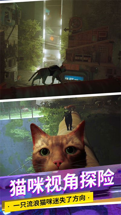 貓咪城市模擬 v1.0 安卓版 1