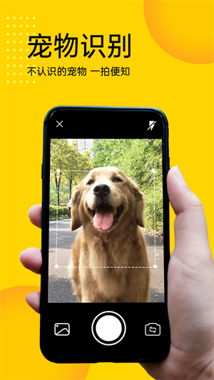 寵物拍拍識別專家 v1.0.1 手機最新版 2
