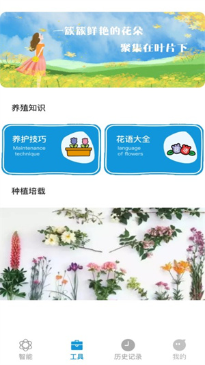 全能拍照識物 v1.2 安卓版 2