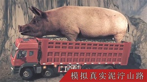 真實卡車遨游模擬器 v1.0 安卓版 0