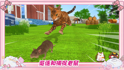 墩墩貓物語 v1.1 安卓版 4
