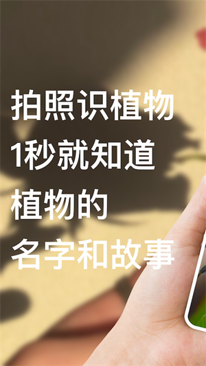 識(shí)別花 v1.1 安卓版 3