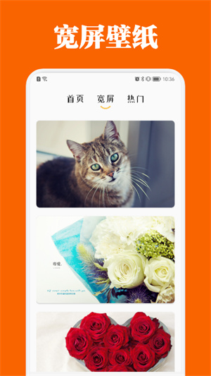 百變主題商店app v1.1 安卓版 1