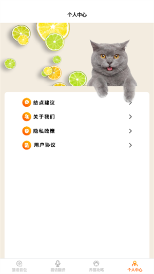 喵語(yǔ)翻譯器 v1.1 最新版 2