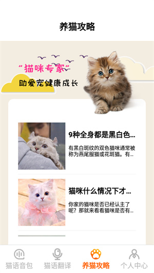 喵語(yǔ)翻譯器 v1.1 最新版 1