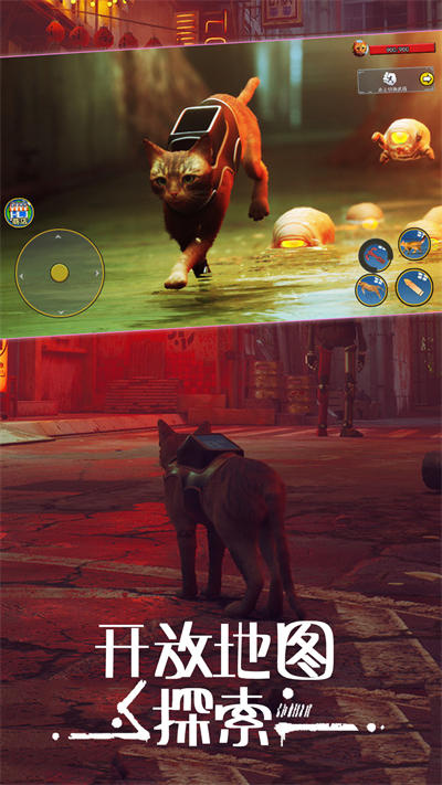 城市動物大冒險 v1.0 安卓版 3