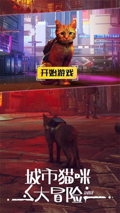 城市動物大冒險 v1.0 安卓版 4