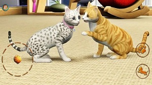 貓咪想戀愛 v300.1.0.3018 安卓版 1