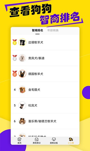 狗語交流翻譯器 v1.4.8安卓版 1