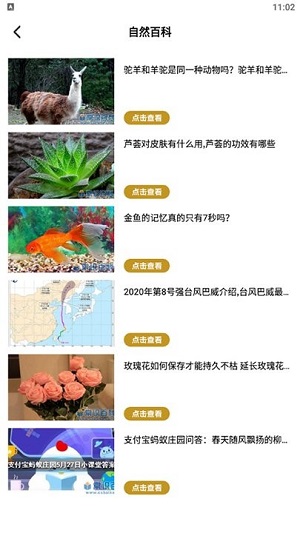 生活小妙招 v1.1 安卓版 2