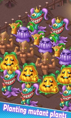 夢幻小院 v1.0.5 安卓版 3