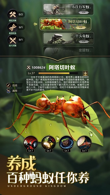 小小蟻國騰訊版 v1.89.0 安卓版 2