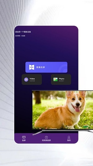 斑馬影視投屏 v1.1 安卓版 0