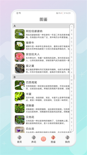 花草集 v1.1 最新版 1