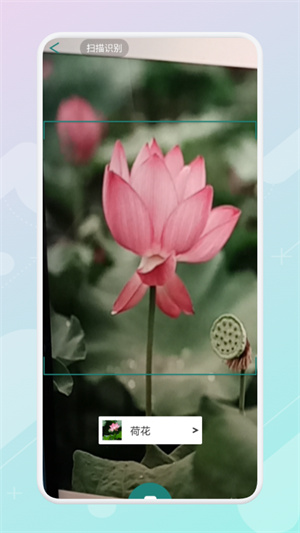 花草集 v1.1 最新版 0