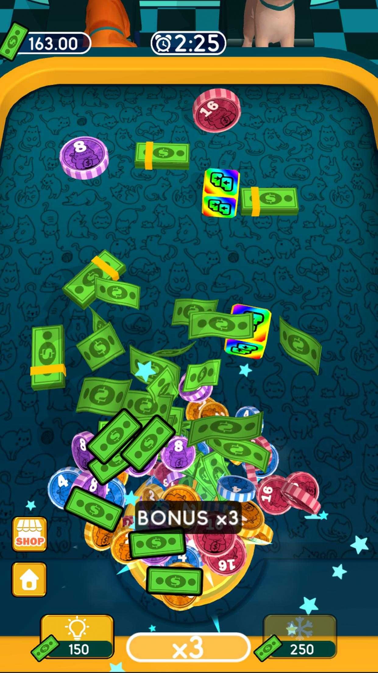 普利拓斯貓分類 v1.0.1 安卓版 0