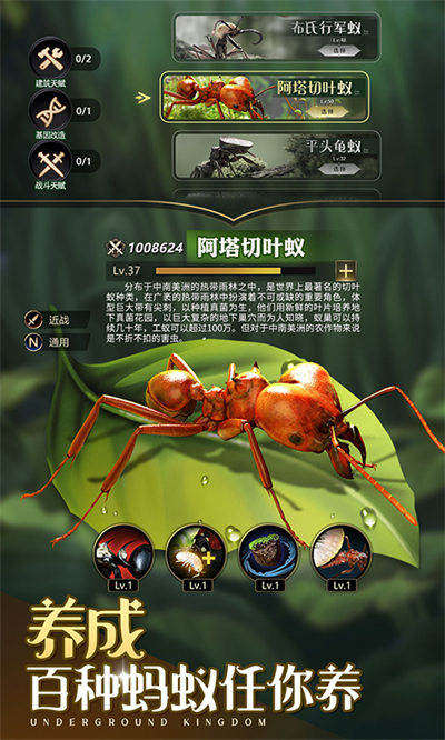 盟軍總動員 v1.31.0 安卓版 2