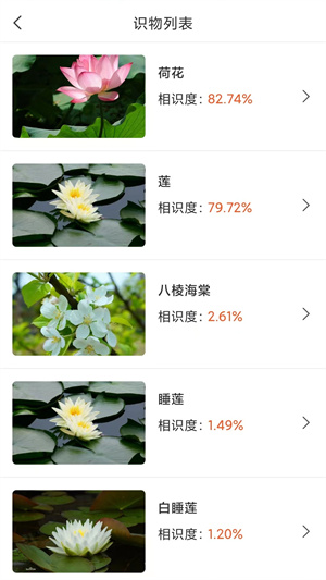 拍照識(shí)物全能王 v1.2.9 最新版 3