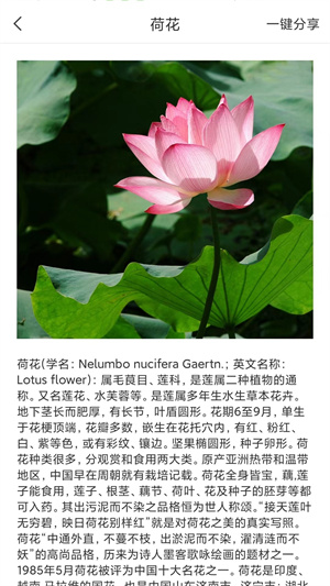 拍照識(shí)物全能王 v1.2.9 最新版 1