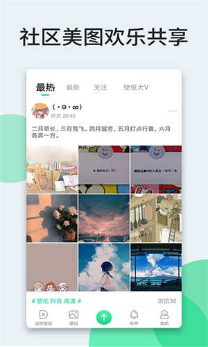 壁紙多多電腦版 v5.8.4.0 pc最新版 4