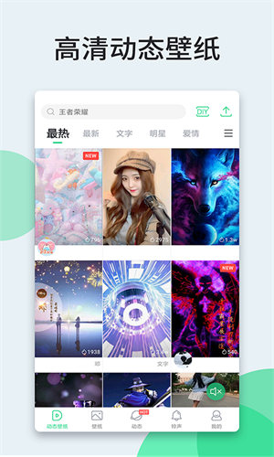 壁紙多多電腦版 v5.8.4.0 pc最新版 2