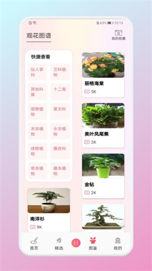 養(yǎng)花大掌柜 v1.4 最新版 1
