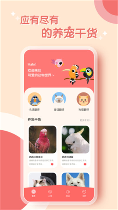 鸚鵡翻譯器 v1.0.0 安卓版 1