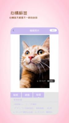 全能美日相機 v1.2 安卓版 2