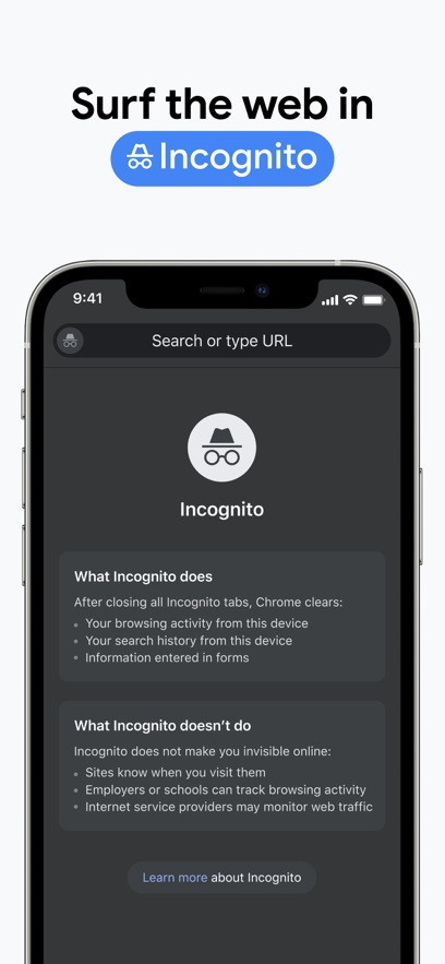 谷歌chrome瀏覽器蘋(píng)果版 v119.0.6045.109 官方版 4