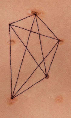 盛開(kāi)的歌 v1.01 安卓版 1