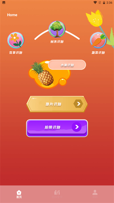 plantae v1.1 安卓版 1