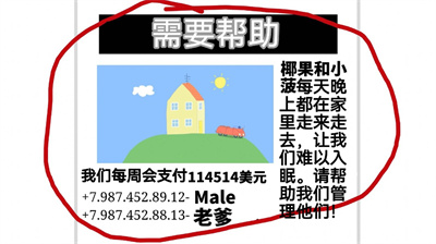 小菠的午夜后宮 v1.0 安卓版 3