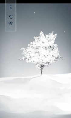 忘雪 v1.0.1 安卓版 0