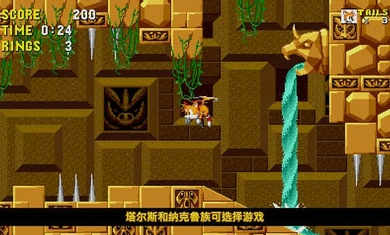 刺猬索尼克 v3.8.1 安卓版 3