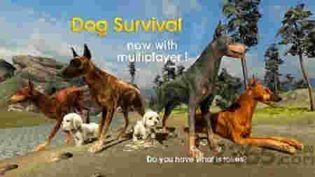 狗狗模擬器2 v1.1 安卓版 2