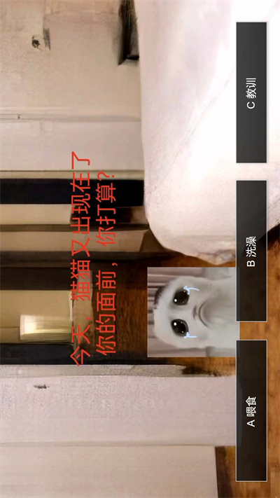 貓鼠特工貓貓驚魂 v1.0 安卓版 1