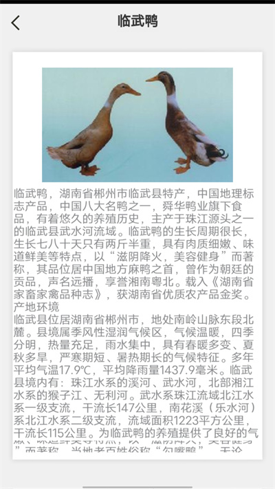 鵝鴨之家 v0.1 安卓版 3