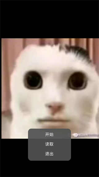 貓貓?bào)@魂 v23.01.191628 安卓版 1