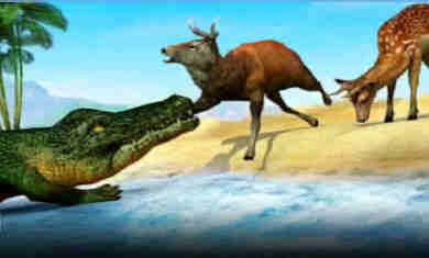 饑餓的動物 v1.0.14 安卓版 3