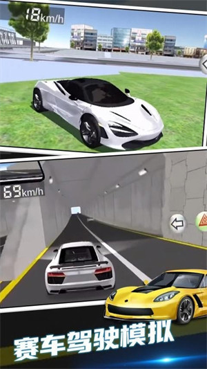 極品漂移賽車3D v15.2.2 安卓版 3