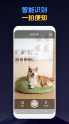 掃描魔法師 v1.0.0 0