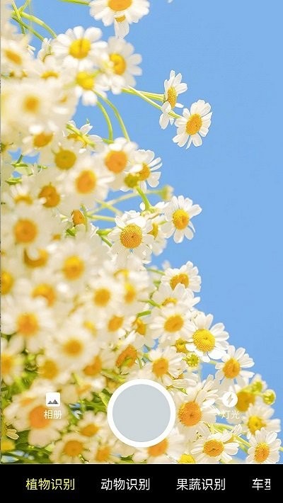 隨手掃一掃 v0.0.1.0安卓版 1