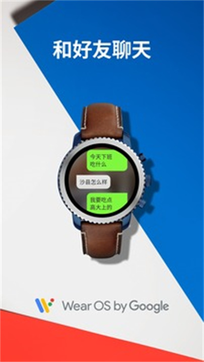 wearosbygoogle中國版 v2.49.0.381033832 安卓版 3