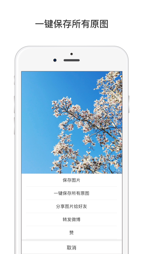 微博國(guó)際版iPhone客戶端 v6.6.1 蘋果手機(jī)版 4